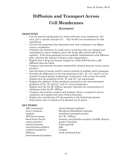 Diffusion and Transport Across Cell Membranes - Biochem Home
