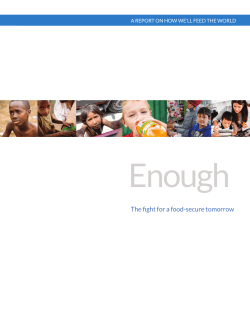 ENOUGH Report - ENOUGH Movement