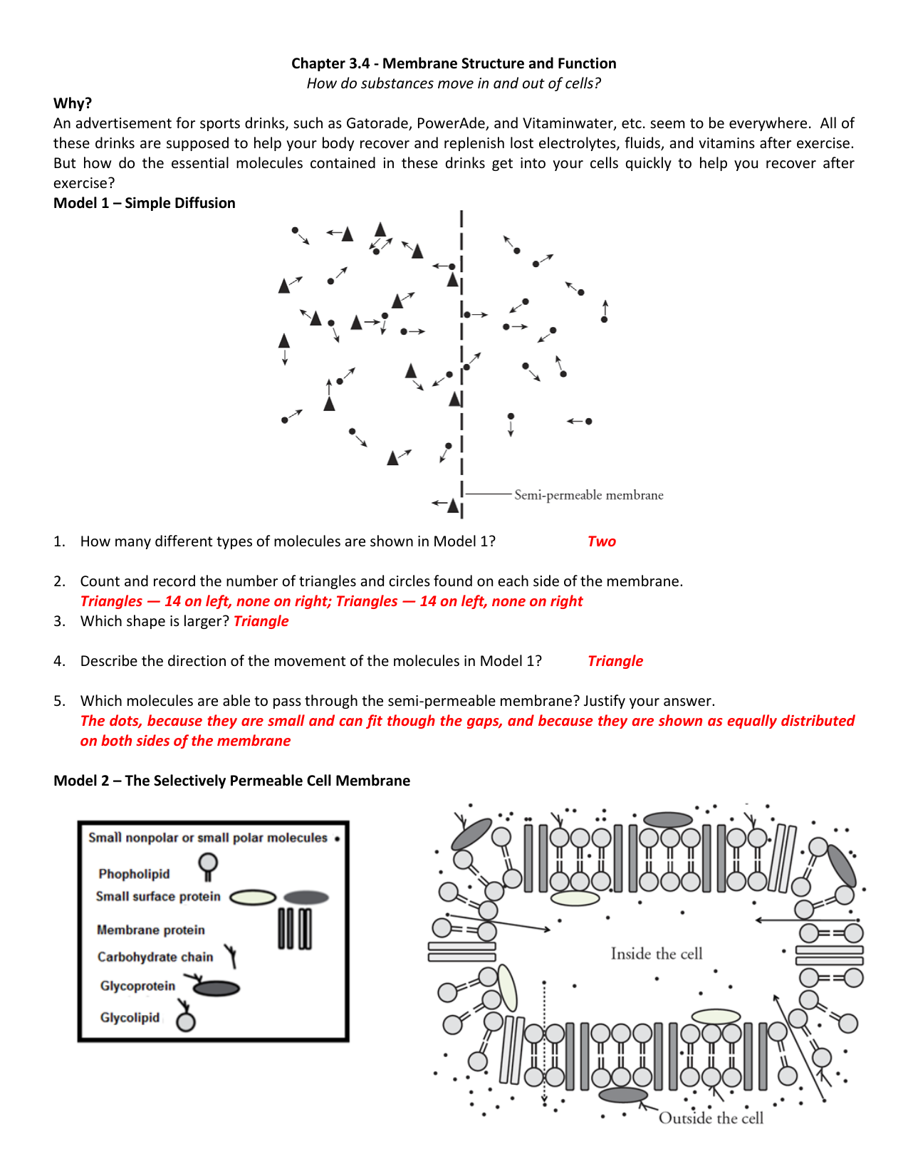 Chapter 3.4 Membrane Structure and Function How do substances