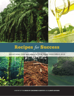 Recipes for Success: Solutions for Deforestation-Free Vegetable Oils