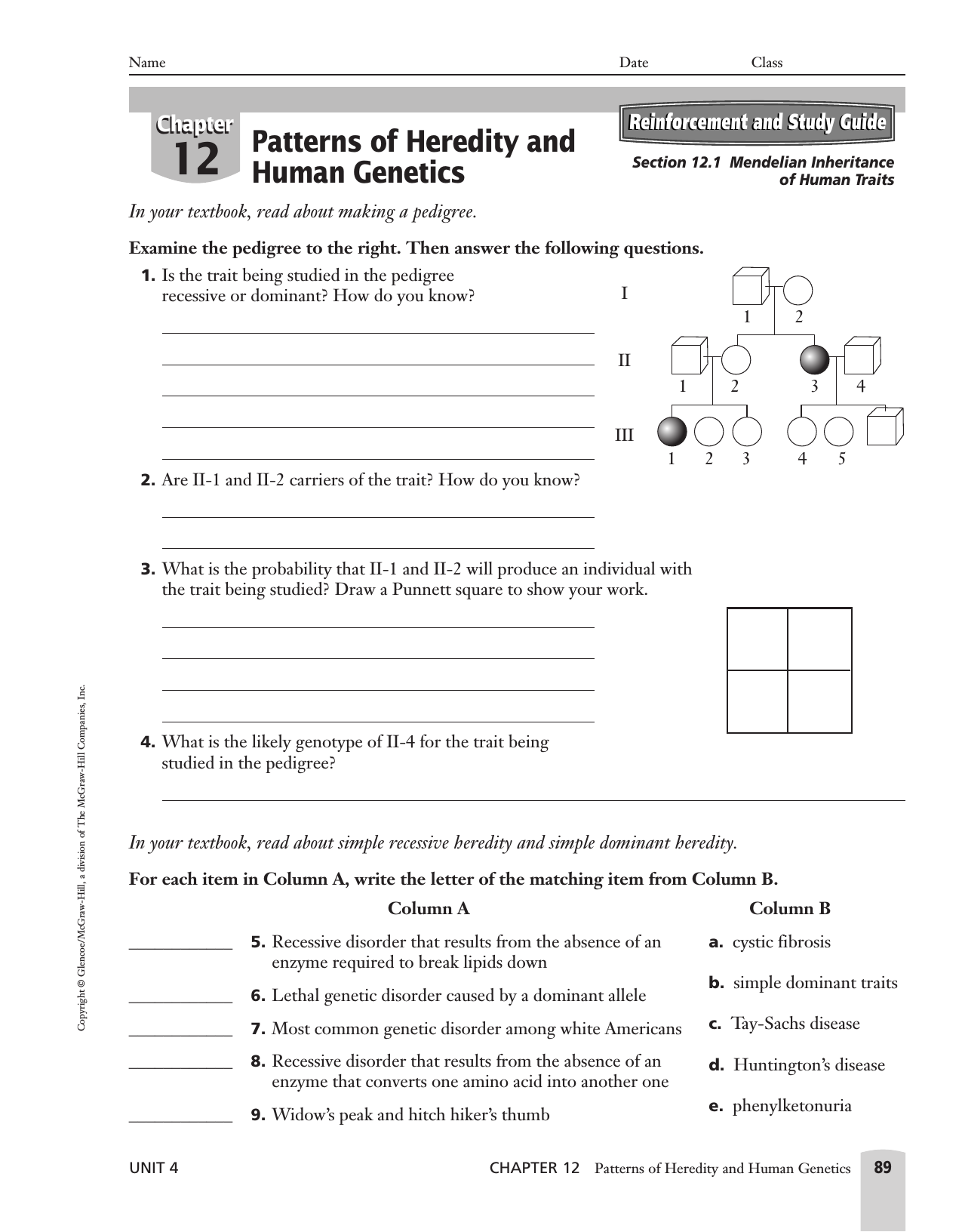 Chapter 20 Study Guide Inside Mendelian Genetics Worksheet Answer Key