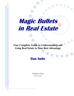 Magic Bullets in Real Estate: Your Complete Guide to - REIClub
