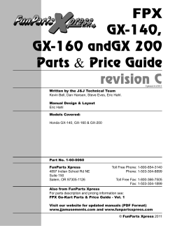 FPX GX-140, GX-160 andGX 200 Parts Price - Fun Parts Xpress