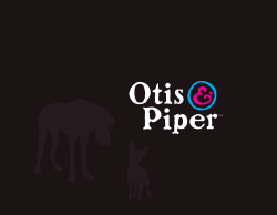 Otis Piper ™ Eyewear Collection catalog - VSP.com