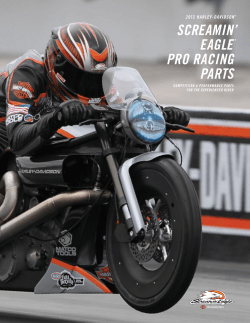 SCREAMIN PRO RACING PARTS EAGLE® - Harley-Davidson