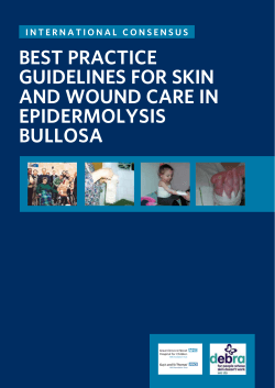 Best practice Guidelines for skin and wound care in epidermolysis