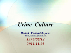 Urine Culture