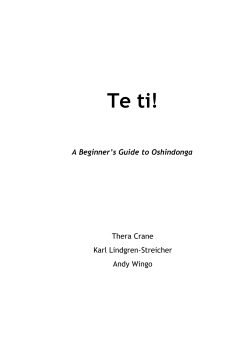 Te ti! A Beginners Guide to Oshindonga - wingolog