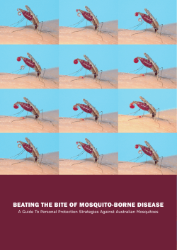 beating the bite of mosquito-borne disease - Medical Entomology