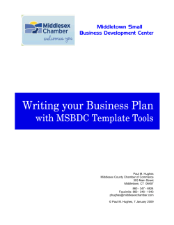 Instructions for Business Plan Template - Middlesex County