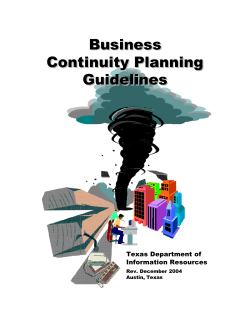 Business Continuity Planning Guidelines Business Continuity