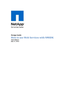 How to use Web Services with NMSDK - NetApp Community