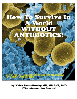 How To Survive In A World WITHOUT ANTIBIOTICS!