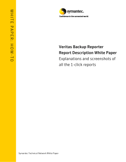 WHITE PAPER: HOW-TO Veritas Backup Reporter - Symantec