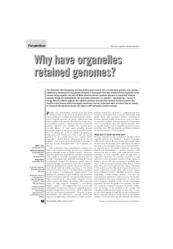 Why have organelles retained genomes? - Molecular Evolution