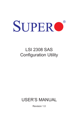 LSI 2308 SAS Configuration Utility USERS MANUAL - mdbSUITS
