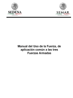 la profesionalizaciГіn docente en mexico pdf