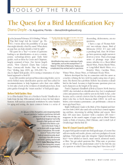 Read the full article - iBird