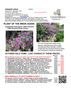 LA Weekly Availability and Specials - Grandiflora