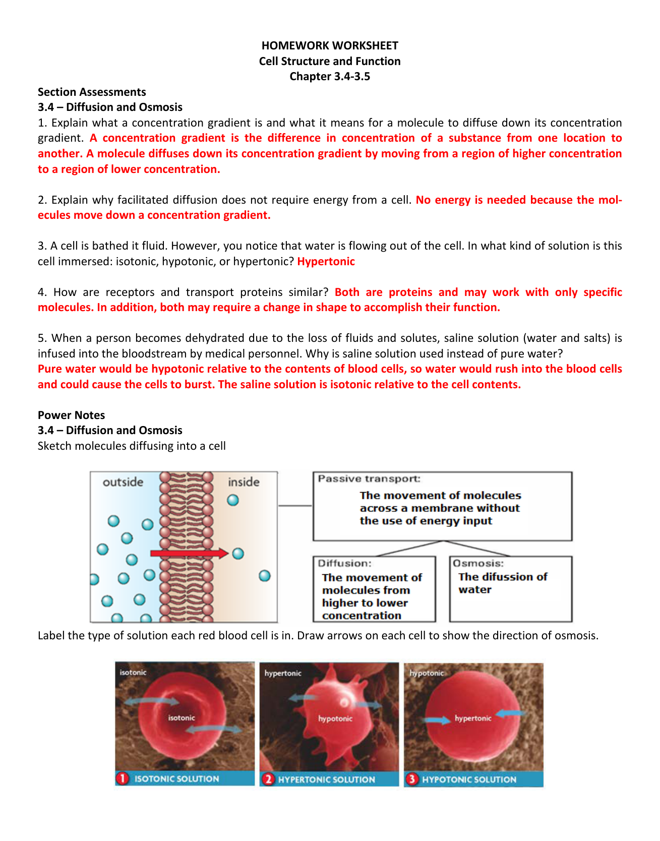 Chapter 20.20-20.20 Throughout Membrane Structure And Function Worksheet