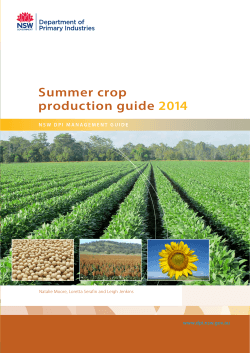 Summer crop production guide 2014 - NSW Department of Primary